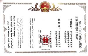 科技进步一等奖 